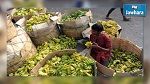Inde: un voleur obligé de manger 40 bananes pour restituer le bijou qu'il avait ingéré
