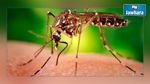 Virus Zika : Les chercheurs se mobilisent pour trouver un vaccin