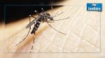 Virus Zika : La Tunisie se prépare à la riposte