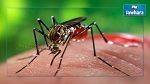 Le virus Zika arrive en France