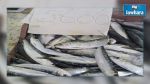 Une application mobile pour suivre les sardines ?
