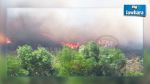 Siliana : Incendie maitrisé à Jebel Kesra