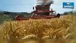 Agriculture : 1.4 millions de céréales produites cette saison