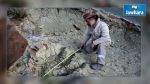 L'empreinte d'un dinosaure découverte en Bolivie