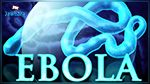 Ebola : Découverte d'un vaccin efficace à 100%