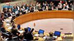 Syrie : le Conseil de sécurité appuie le cessez-le-feu établi par Moscou et Ankara