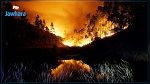 Au moins 43 morts dans un violent feu de forêt au Portugal