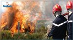 Le Kef : Un incendie dans les forêts de Touiref