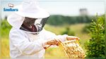 Des traces de pesticides retrouvées dans les trois quarts des miels de la planète 