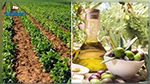 Un séminaire sur les zones de transformation agroalimentaire à Tunis du 12 au 14 février