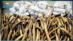 Grande-Bretagne : Interdiction quasi-totale du commerce de l'ivoire