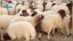 Aid Al Idha : Il n'y aura pas d'importation de moutons, affirme Samir Bettaieb