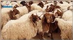 UTAP : Les prix de vente des moutons de l'Aïd fixés
