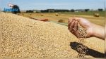 Siliana : Problèmes de stockage de la récolte céréalière