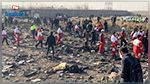 Crash d'un avion ukrainien en Iran : Nationalités des victimes