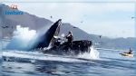 En vidéo : Une baleine avale deux jeunes femmes en kayak en Californie