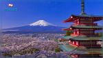 Tourisme : le Japon ne va pas rouvrir ses frontières cet été