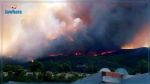 Mont Boukornine: 533 hectares incendiées et feu maitrisé