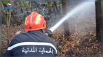 Jendouba : Les incendies maitrisés à 70%
