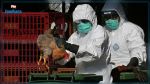 Un premier décès humain lié à la grippe aviaire H3N8 enregistré en Chine