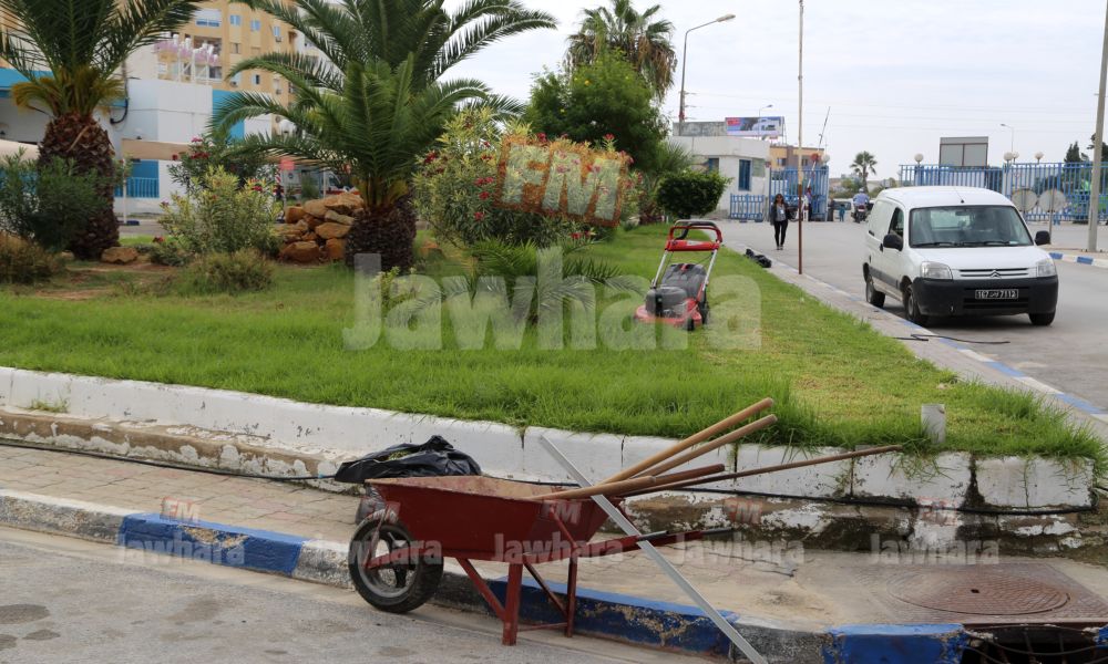 sahloul 9 04-10-2015 10-17.JPG