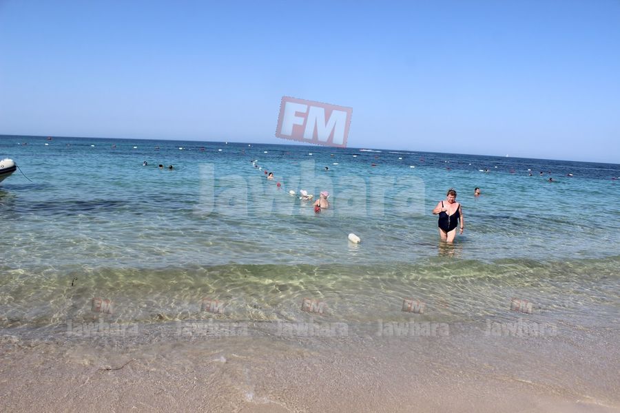 10.jpeg