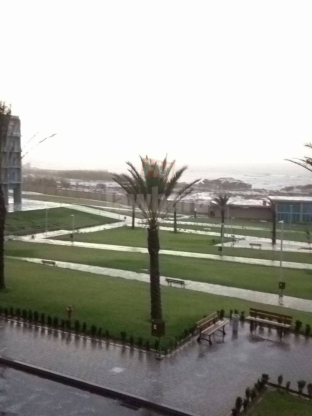 15044700_10211786010352641_673729556_o.jpg