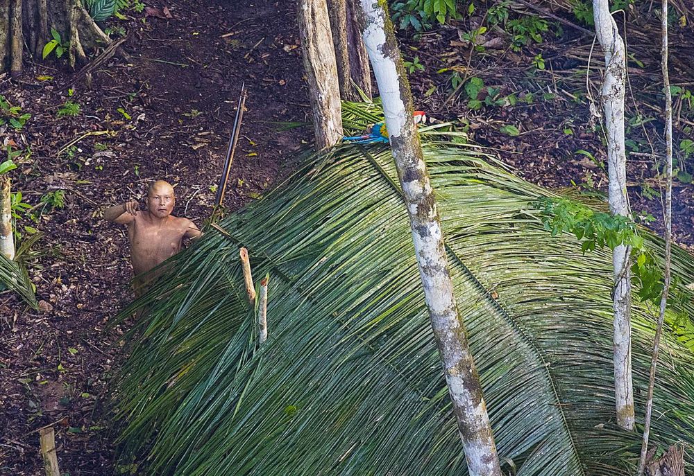 amazonie 3.jpg
