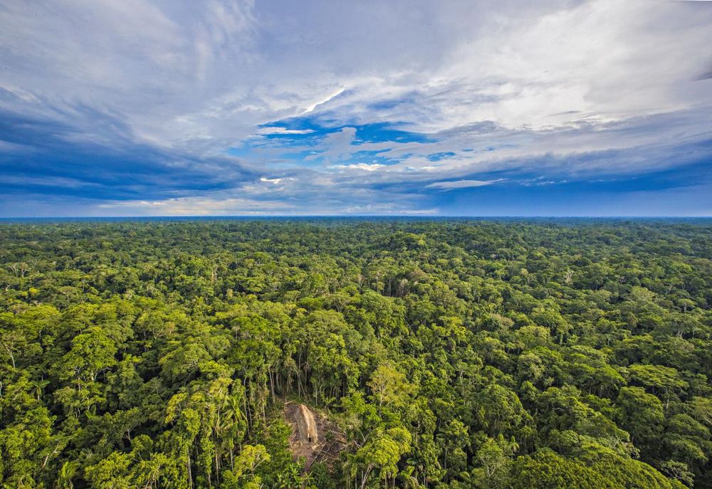 amazonie 4.jpg
