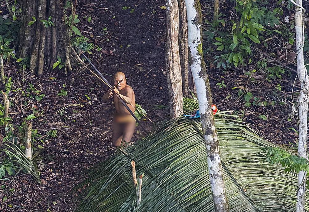 amazonie 5.jpg