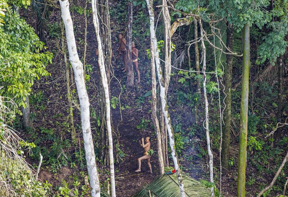 amazonie.jpg