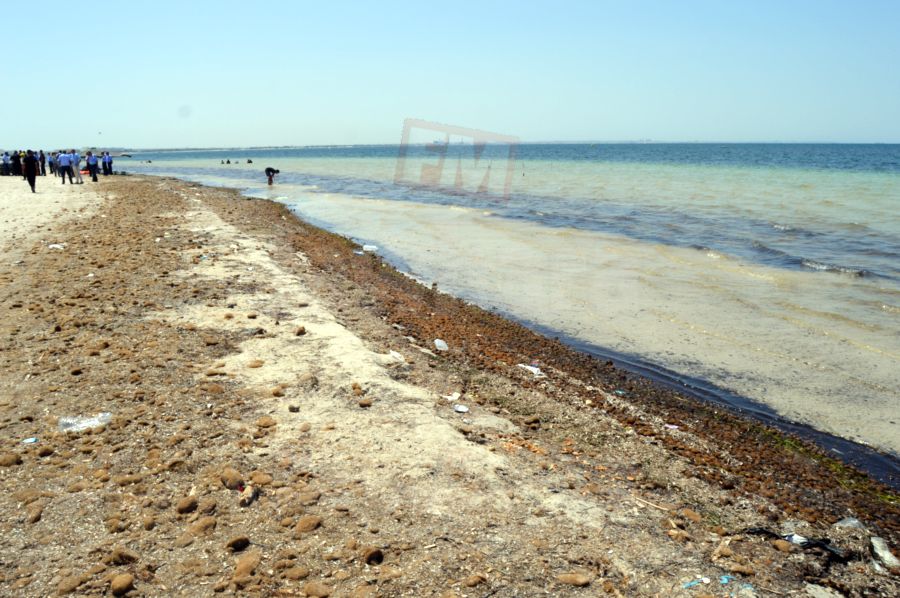 kantawi 23 14-07-2017 21-20.JPG