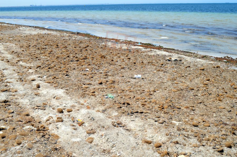 kantawi 26 14-07-2017 21-20.JPG