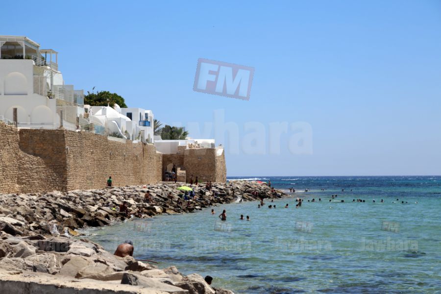 rayes 10 30-07-2017 14-45.JPG