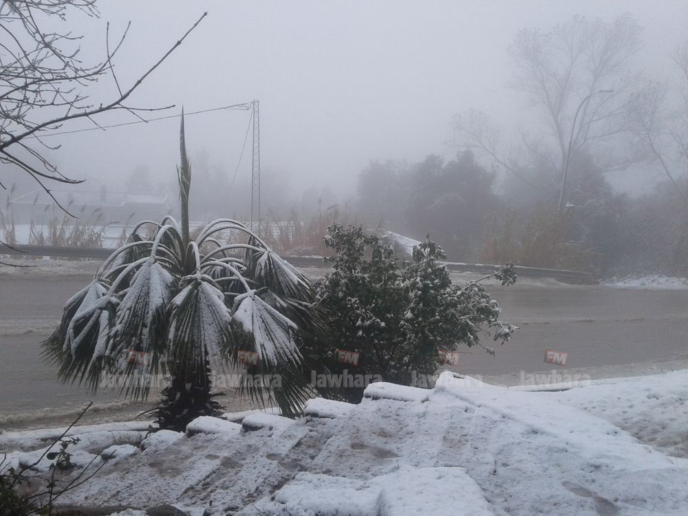 20171202_130926.jpg