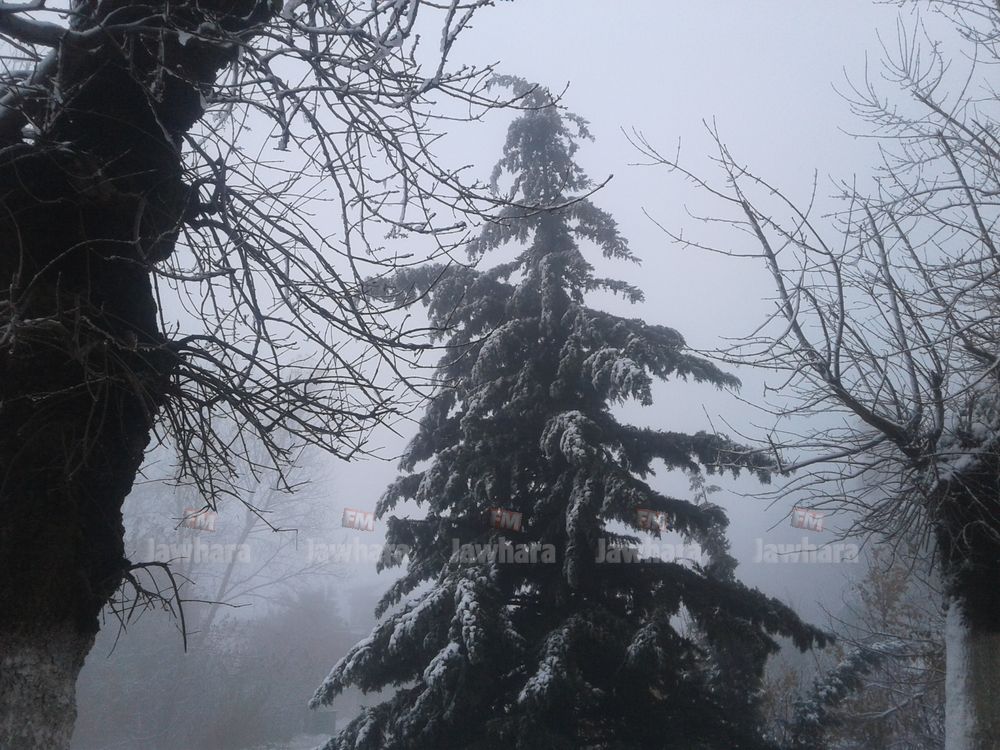 20171202_131214.jpg