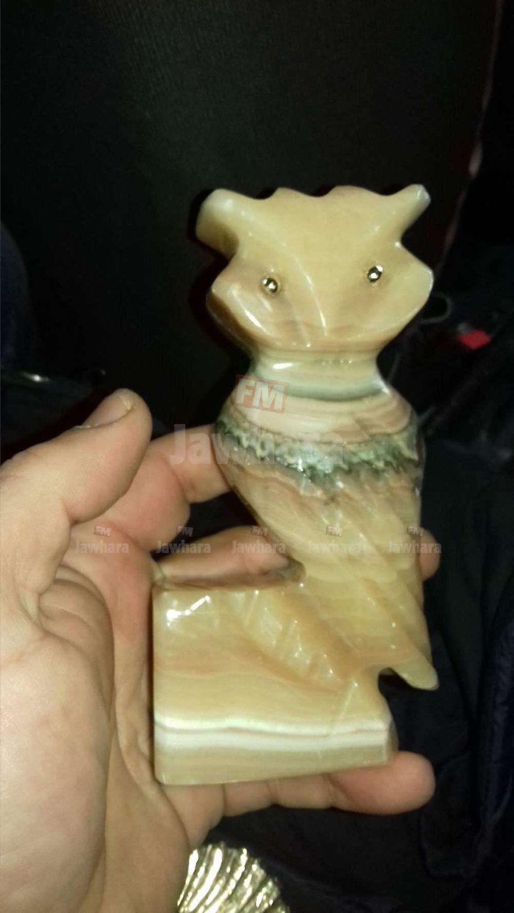 received_1136565963144235.jpeg
