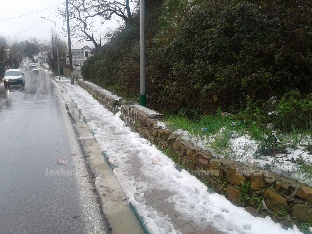 20180210_122931.jpg