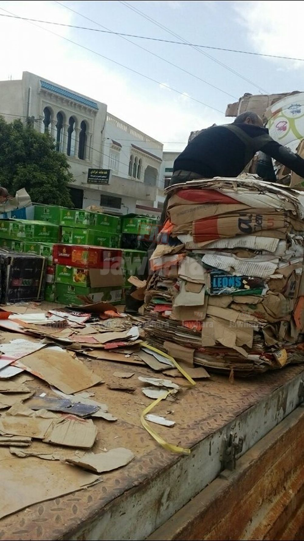 15.jpg