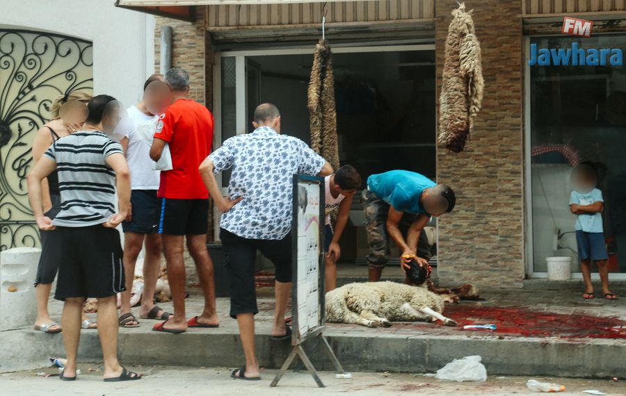 aid 21-08-2018 1-01-48 PM CET 5.jpg