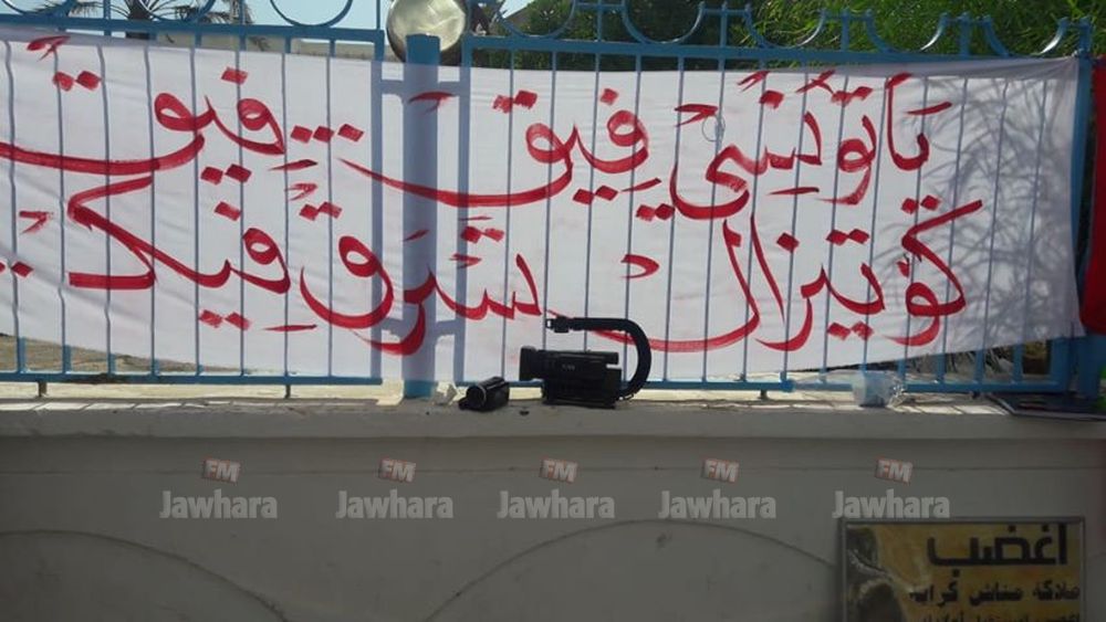 z2.jpg