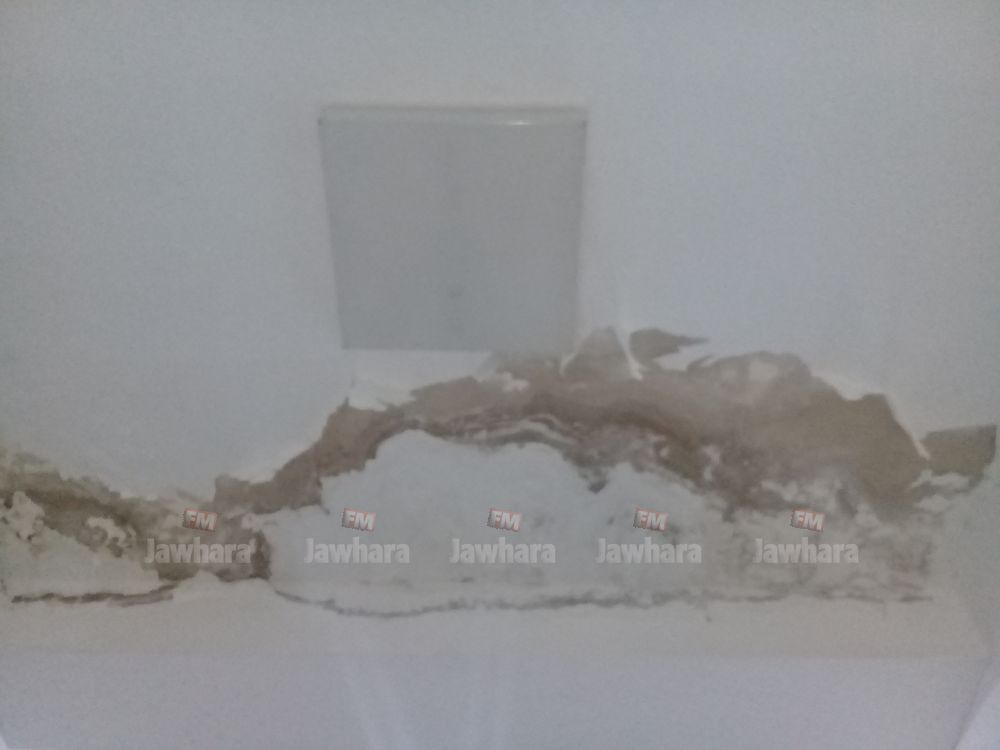 20190129_084534.jpg