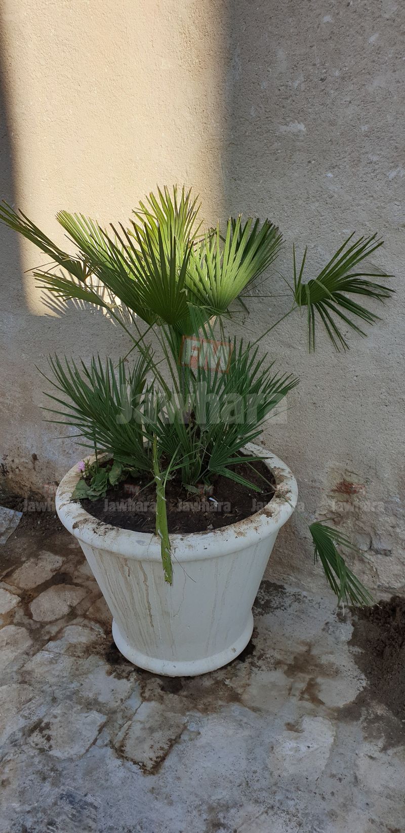 20190317_161204.jpg
