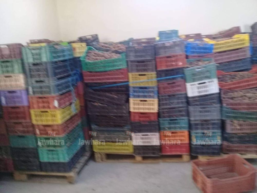 received_417326455507761.jpeg