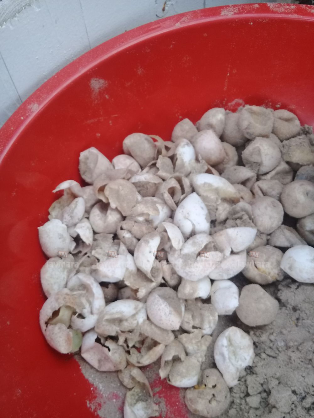 20191015_100923.jpg
