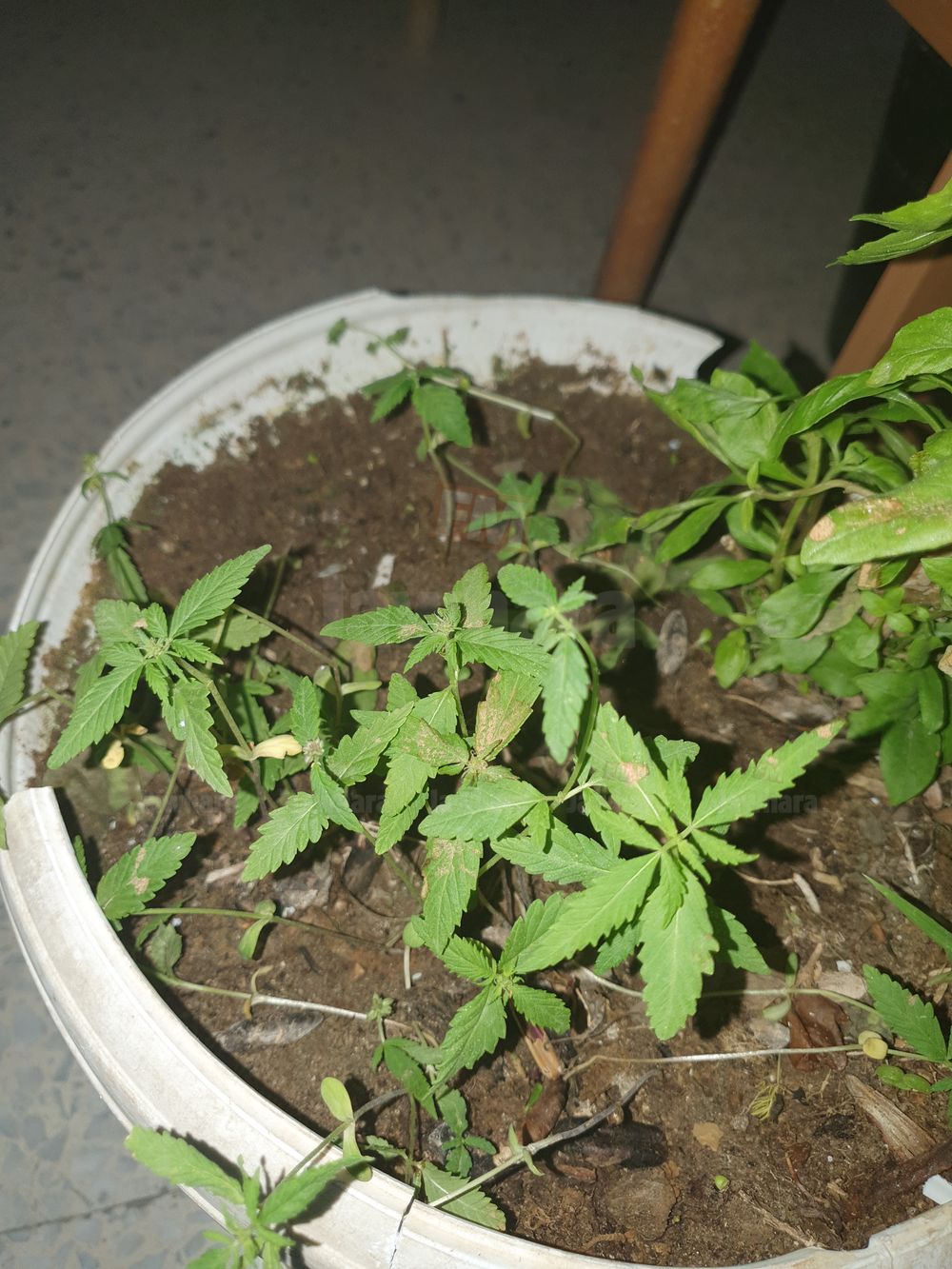 20191101_183152.jpg