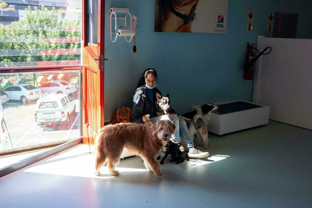 image6.jpg