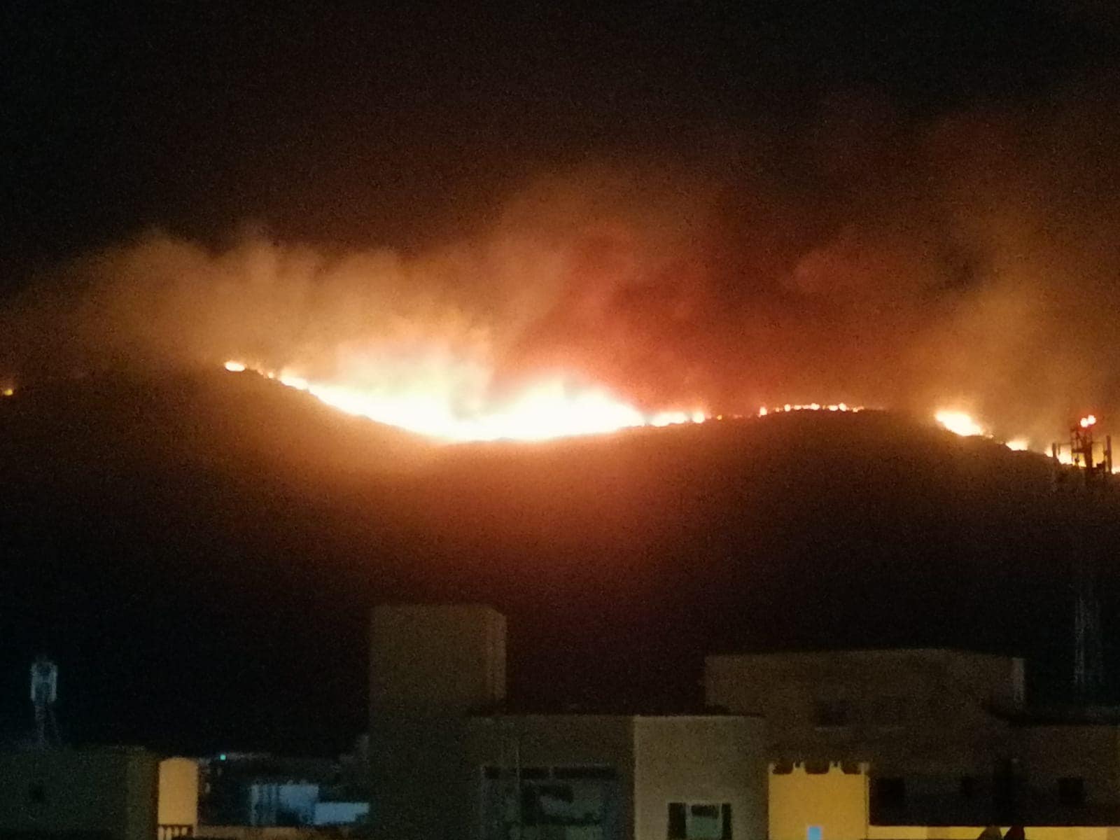 حريق1.jpg