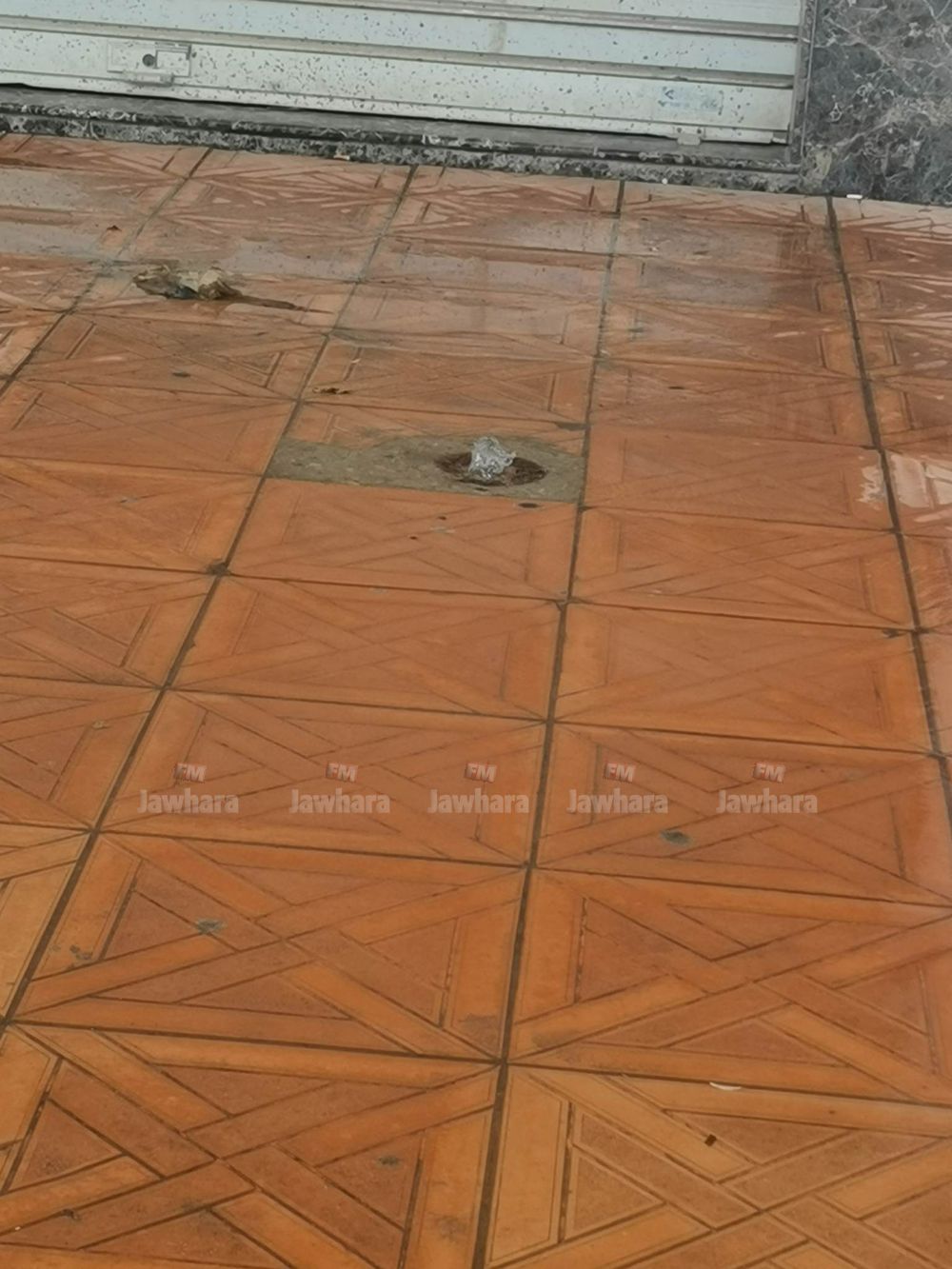 321968215_734715957994861_708794887017549838_n.jpg