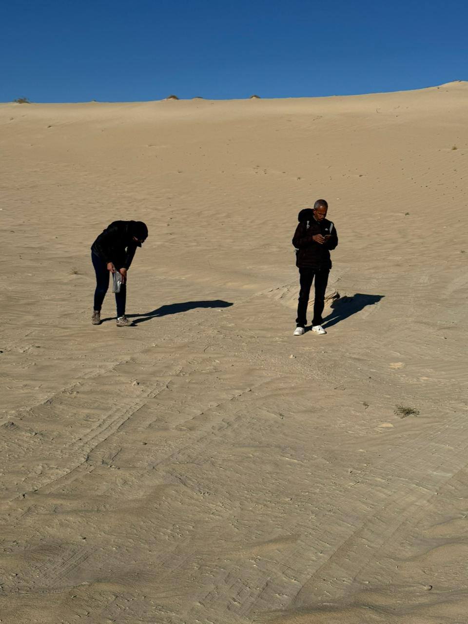 472745486_1066258548879146_2866176844027250545_n.jpg